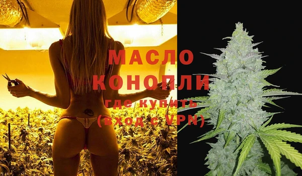 экстази Ельня
