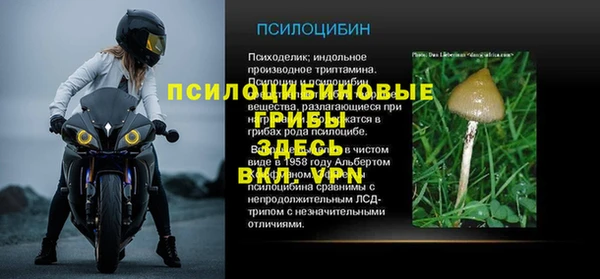 экстази Ельня