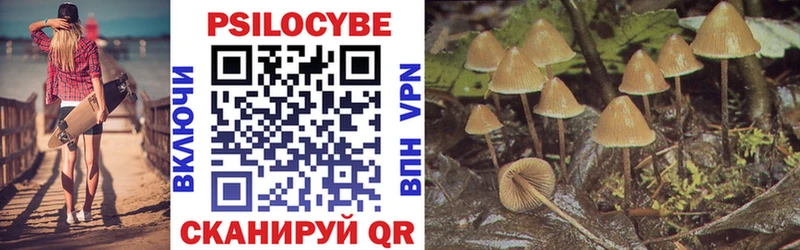 Псилоцибиновые грибы Psilocybe  Купить где  Краснослободск 